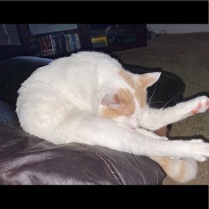 Meet your Posher, Anthony